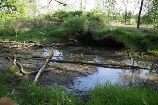 Rybáře (Fischern) vor der Rekonstruierung