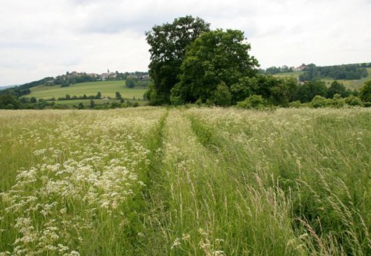 výhled na Hohenberg