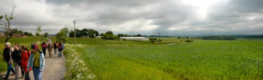 panorama výhledu na Hůrku, v pozadí Samota