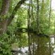 romantická řeka za Hammermühle